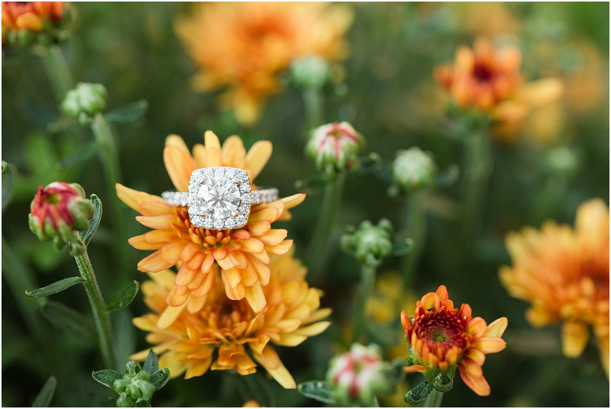 diamond engagement ring on orange mum bloom